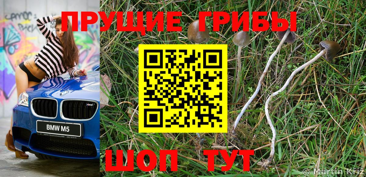 Галлюциногенные грибы Psilocybine cubensis  Псилоцибиновые грибы Psilocybe  Вход с VPN  Лыткарино 