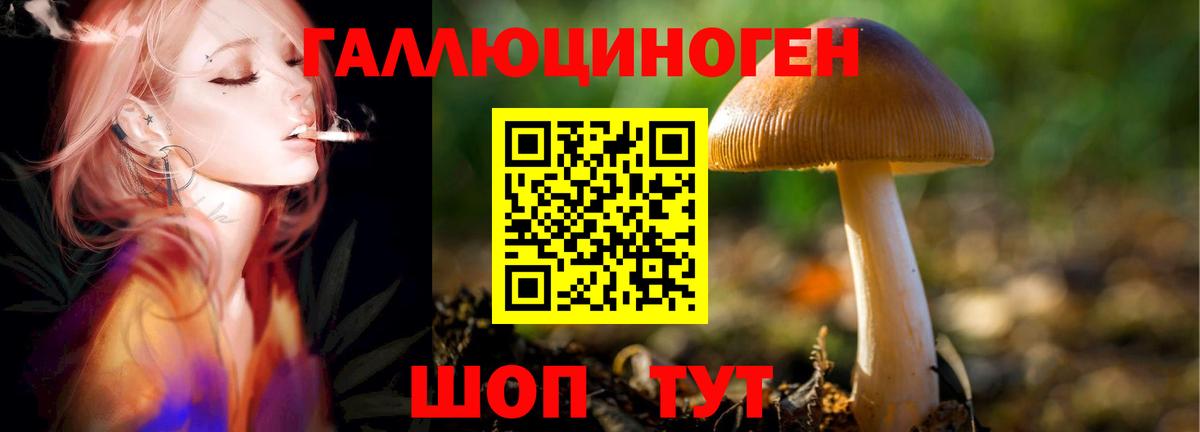 Галлюциногенные грибы мицелий Лыткарино